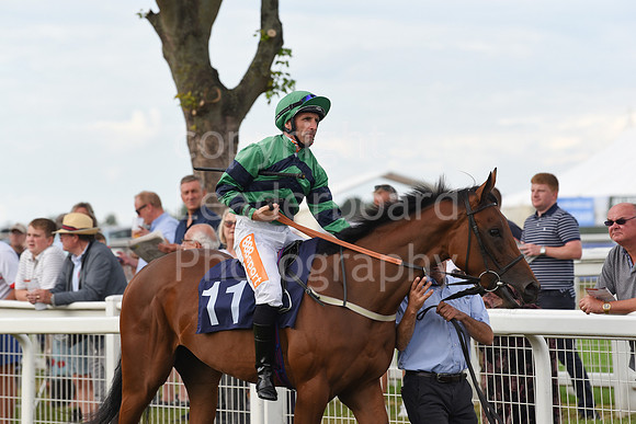 Gt_Yarm_3_Aug_2022-48