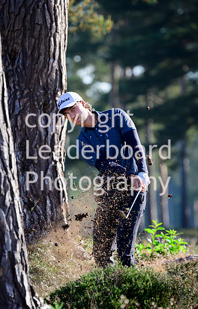 NZ9_4884