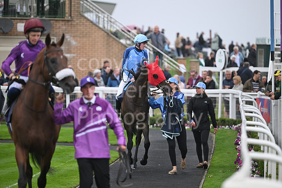 Gt_Yarm_Ladies Night_2025-55