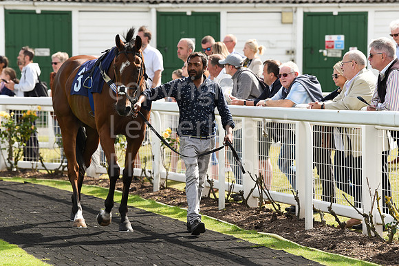 Gt_Yarm_Racing_5th_Aug_2021-97