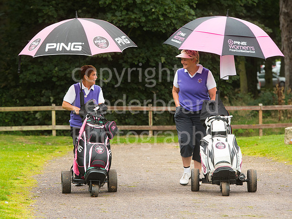 NB_18_Grand_Final_Ping