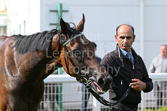 Gt_Yarm_May_27-242