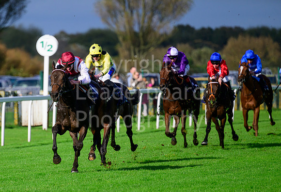 NZ9_5022