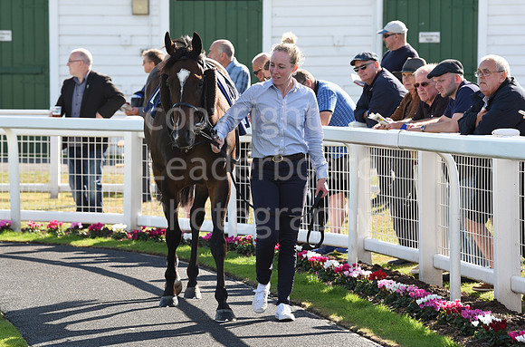 Gt_Yarm_Eastern_Fest_Day_2-139