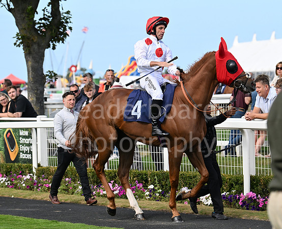 Gt_Yarm_24_Aug_2025-136