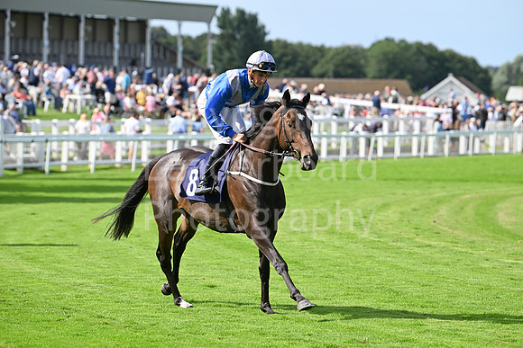 Gt_Yarm_28_July_2025-163