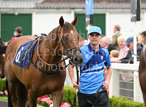 Gt_Yarm_July25_Racing_League_2024-115