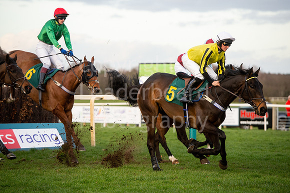 NB_04_Silvergrove