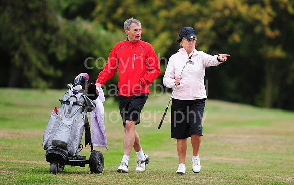 LB_78_Ping_Plate_Final_2011.jpg