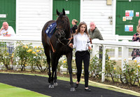 Yarm_Races_17July-3