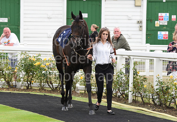 Yarm_Races_17July-3