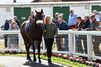 Gt_Yarm_Eastern_Fest_Day_2-3