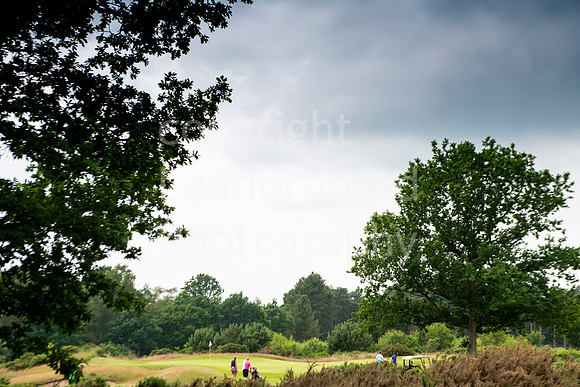 LBP_0564