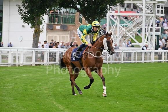 Gt_Yarm_19_Aug_Evening_Race-154
