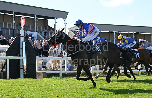 Gt_Yarm_May14_2025-258