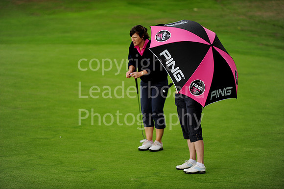LB_88_Ping_Plate_Final_2011.jpg