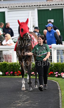 Gt_Yarm_July25_Racing_League_2024-2