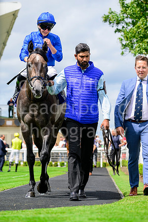NZ9_3788