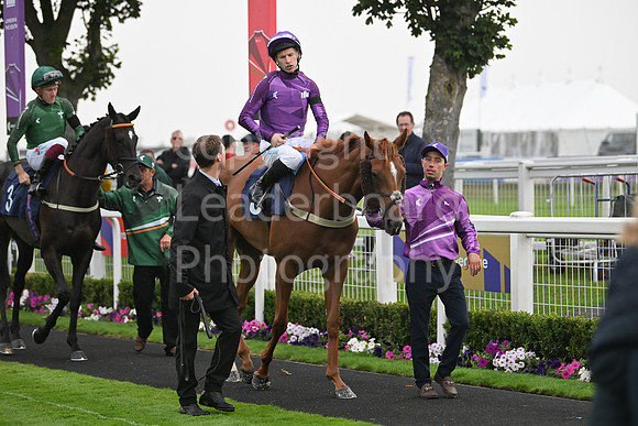 Gt_Yarm_Ladies Night_2025-9