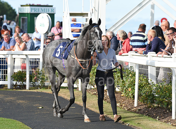Gt_Yarm_Eastern_Fest_Day_2-200