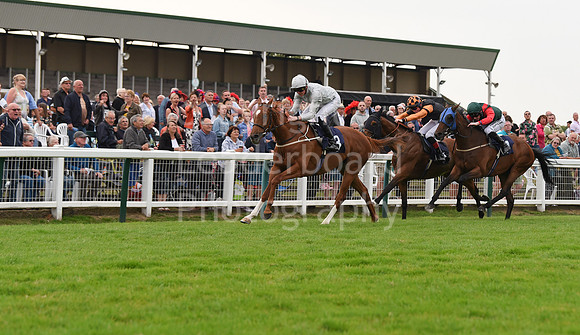 Yarm_Races_17July-49