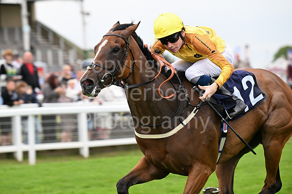 Gt_Yarm_July25_Racing_League_2024-159