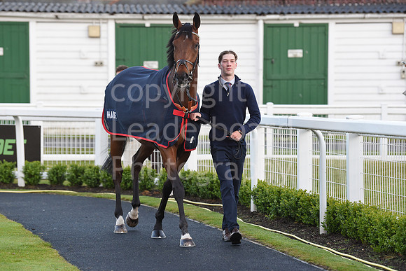 Gt_Yarm_31_May_2022-140