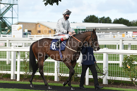 Gt_Yarmouth_Races_230Aug-156