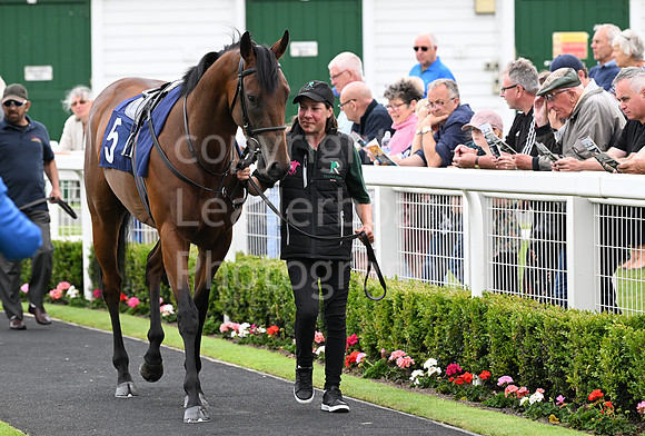 Gt_Yarm_Racing_June_28-156