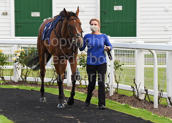 Gt_Yarm_Races_14_July2021-145