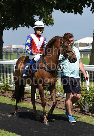 Pony_Racing_5th_Aug_2021-10