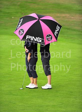 LB_87_Ping_Plate_Final_2011.jpg