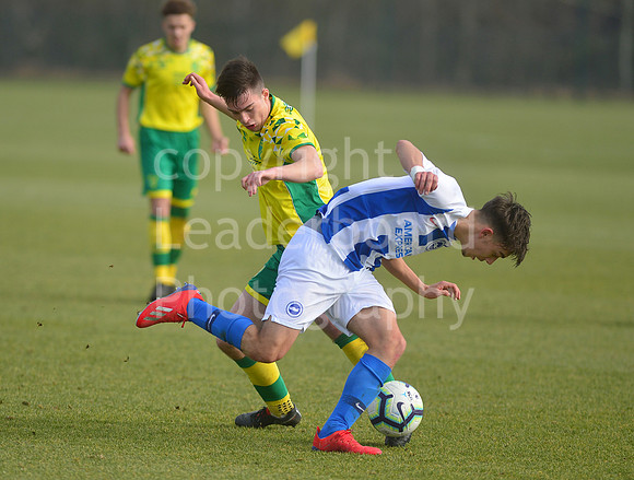 NB_083_NCFC_U18_Brighton