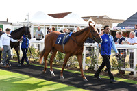 19_GY_Races_15Aug_Beatles