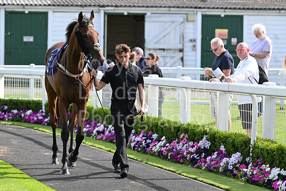 Gt_Yarm_28_July_2025-146