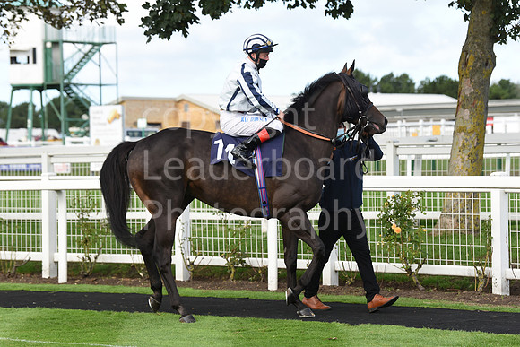 Gt_Yarmouth_Races_230Aug-162