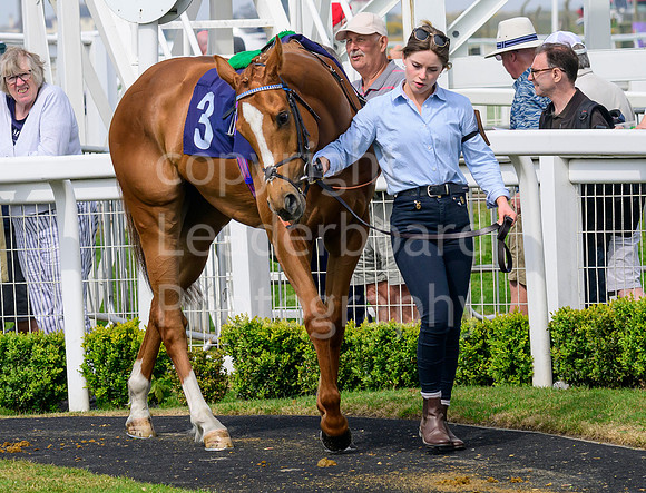 NZ9_5221