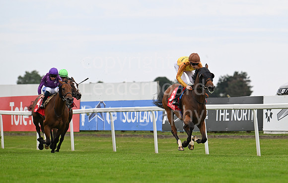 Gt_Yarm_July25_Racing_League_2024-34