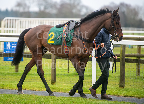 LBP_5946