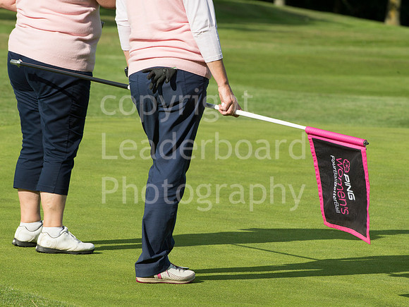 AJ_PING_Plate_2015_641