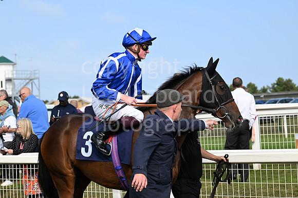 Gt_Yarm_Eastern_Fest_18_Sept_2024-62