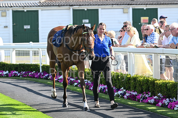 Gt_Yarm_Residents_Day_June_27-200