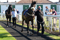 Gt_Yarm_1st_June_2021-6