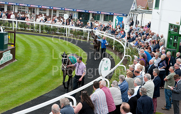 LB_Yarouth_races_2016_0586