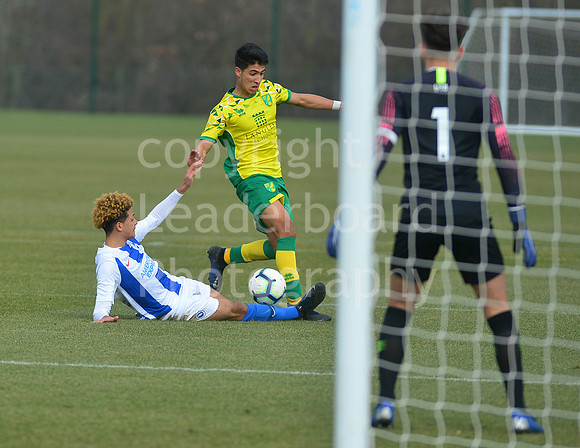 NB_036_NCFC_U18_Brighton