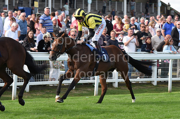 Gt_Yarm_14_Sept_2022-54
