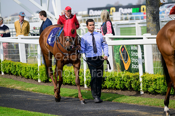 NZ9_5387
