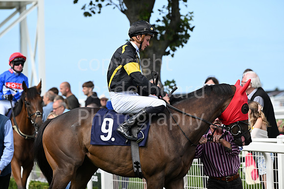 Gt_Yarm_28_July_2025-117