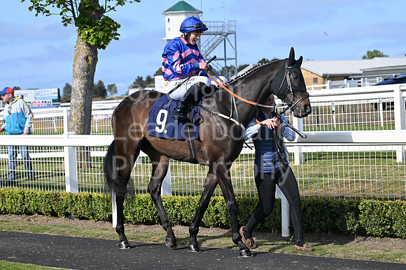 Gt_Yarm_May14_2025-238