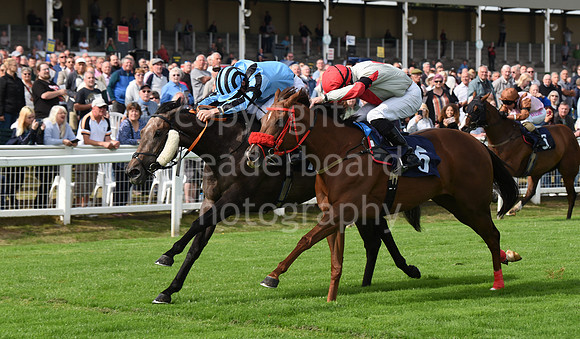 Gt_Yarm_Races_13_Sept8-38